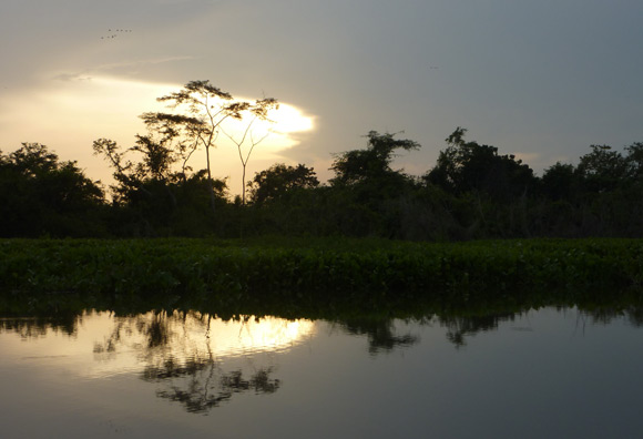 Sunset over Mompox Swamp